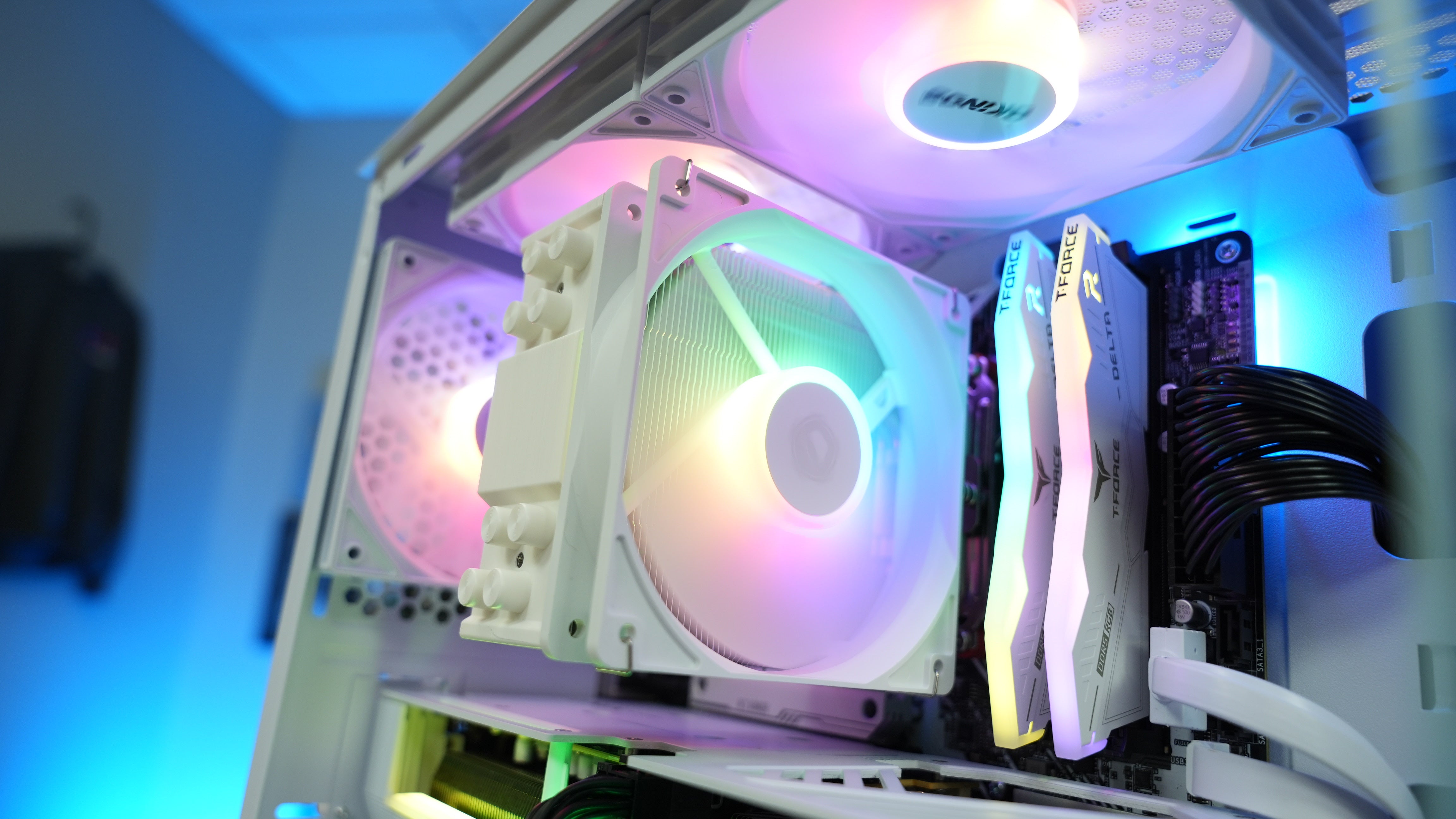 Premium Panda Gamer - Ryzen 5 9600X + Arc B580