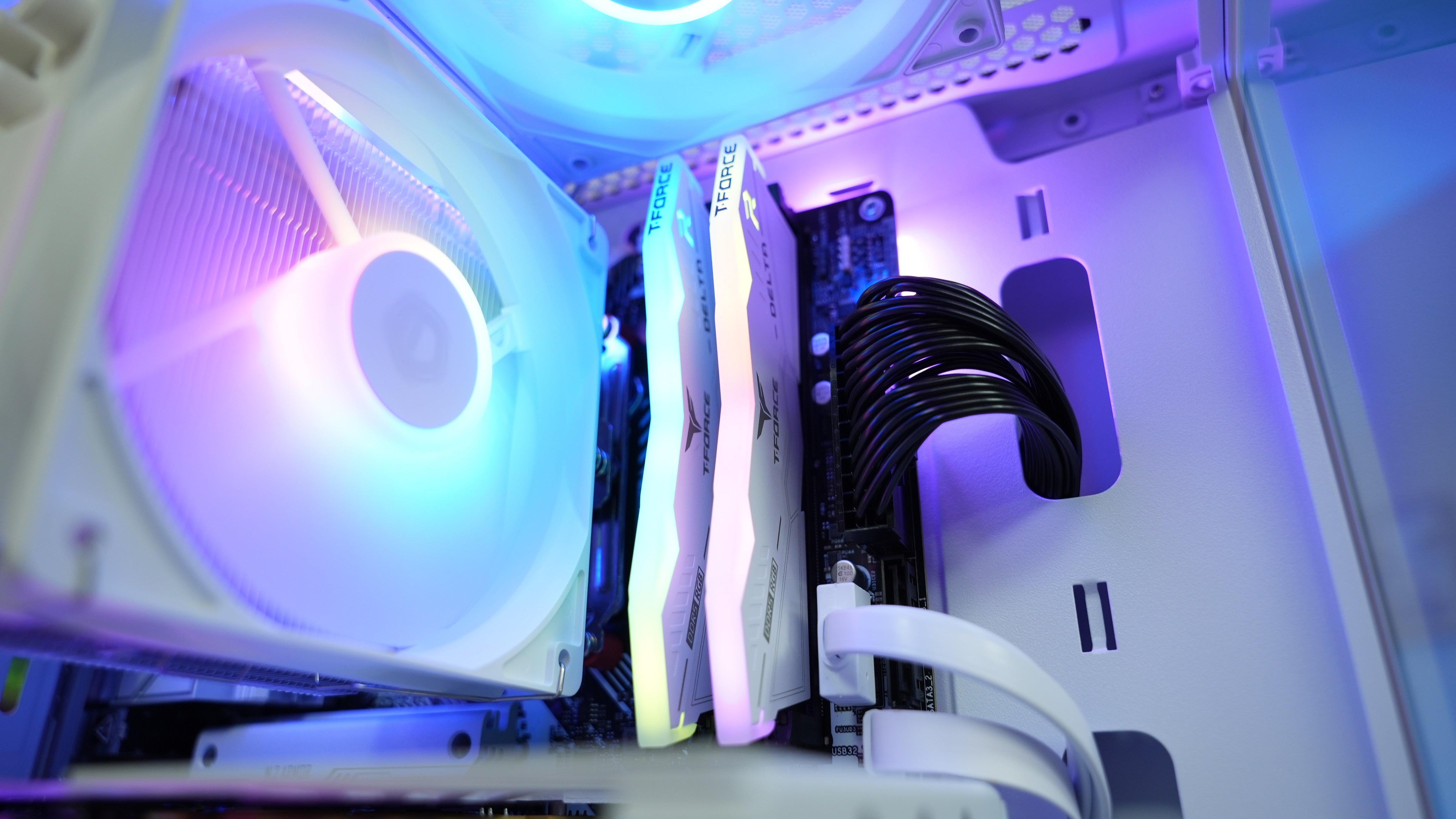 Premium Panda Gamer - Ryzen 5 9600X + Arc B580